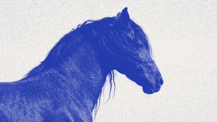 An existing horse source in a cobalt grain-print treatment