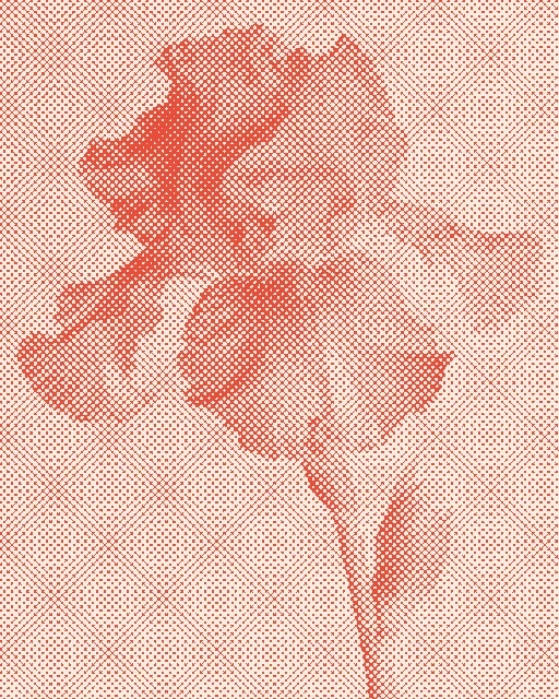 C / Field study 02, A crisp tomato-coral halftone pulled on warm ivory stock.. Rendered in grit.